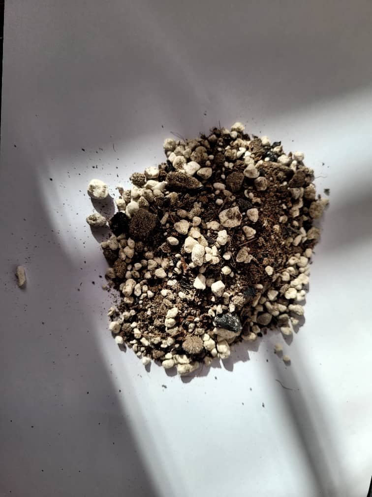 Dr. Jozay Soilless Organic Growing Substrate – Premium Soil Replacement for Houseplants & Greenhouses - Image 3